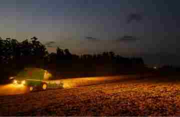  Portaria do Paraná amplia período de plantio da soja para produção de sementes